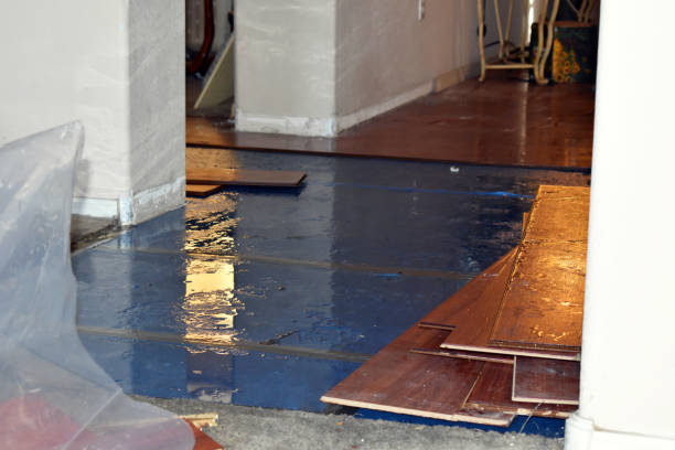 Professional Burst Pipe Cleanup technician working in Mission, TX