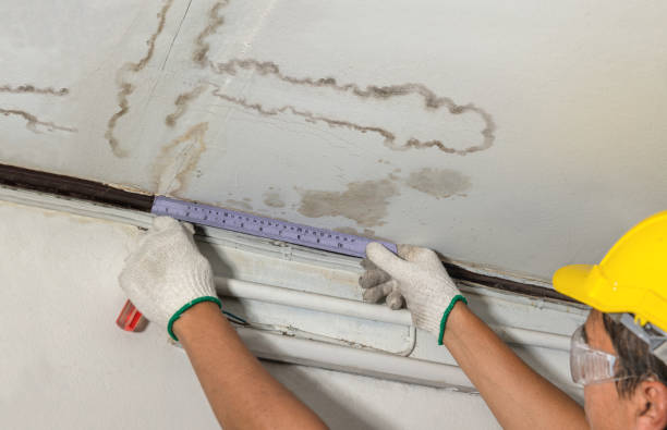 Reliable Burst Pipe Cleanup contractor in Mission, TX by Water Damage Irwin